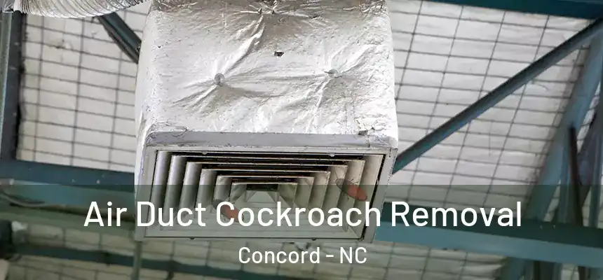 Air Duct Cockroach Removal Concord - NC