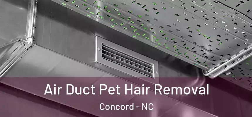  Air Duct Pet Hair Removal Concord - NC