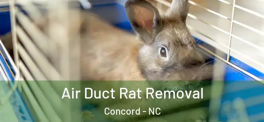  Air Duct Rat Removal Concord - NC