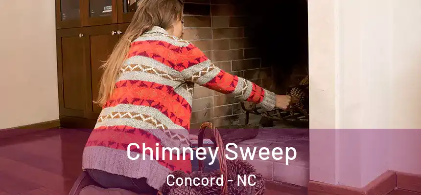  Chimney Sweep Concord - NC