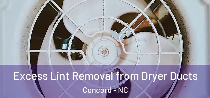  Excess Lint Removal from Dryer Ducts Concord - NC