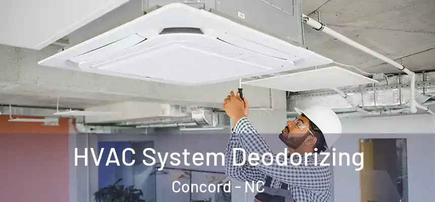  HVAC System Deodorizing Concord - NC