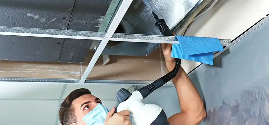 Our Air Duct Rodent Removal Services in Concord, NC