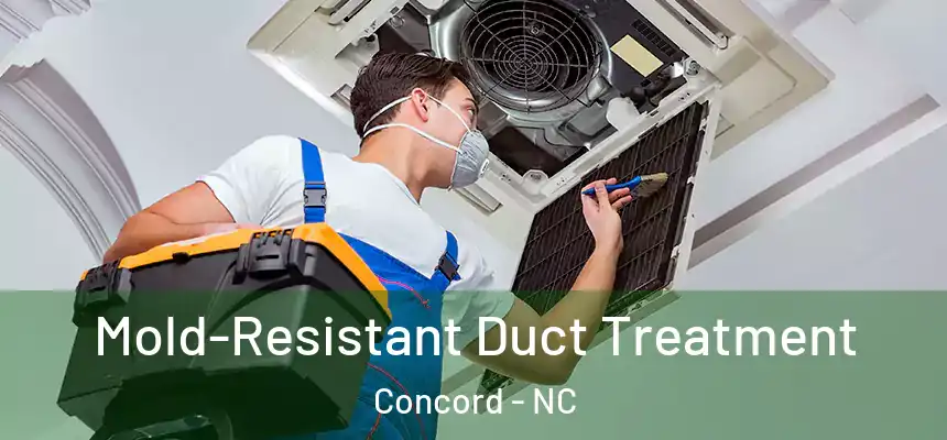  Mold-Resistant Duct Treatment Concord - NC