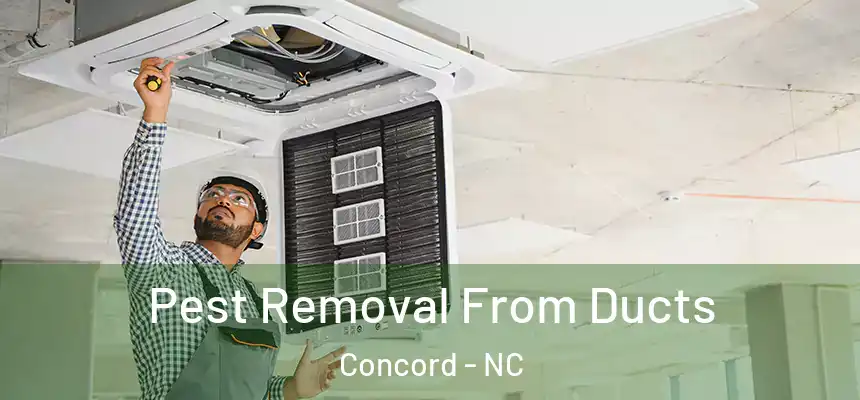  Pest Removal From Ducts Concord - NC