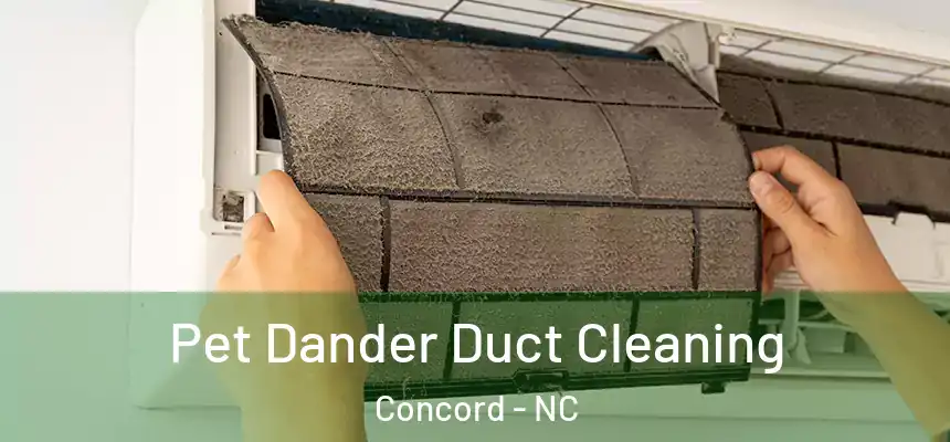 Pet Dander Duct Cleaning Concord - NC