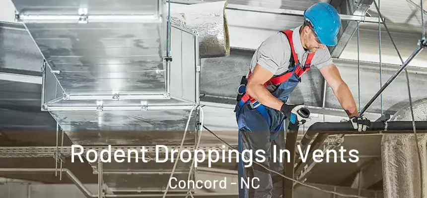  Rodent Droppings In Vents Concord - NC