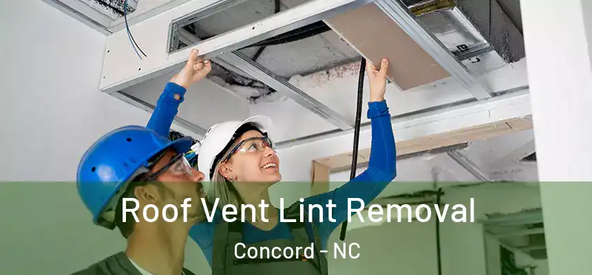  Roof Vent Lint Removal Concord - NC