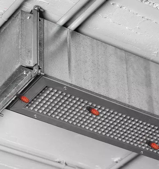 About Air Duct Cockroach Removal in Concord, NC