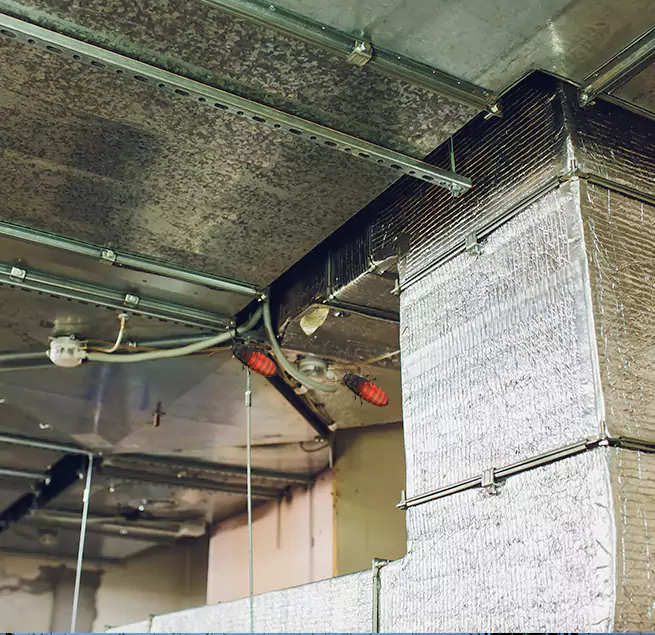 Why Homeowners & Businesses Trust Us in Concord, NC?