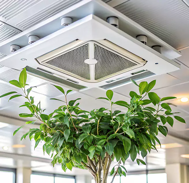 Why Homeowners & Businesses Trust Us in Concord, NC?