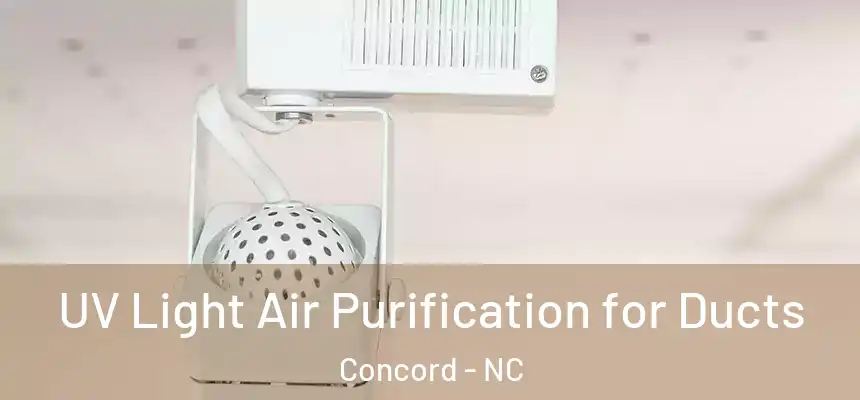  UV Light Air Purification for Ducts Concord - NC